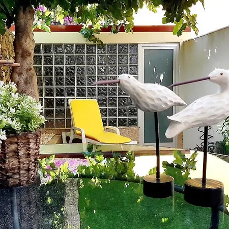 Casa Bacalhau - Codfish House Holiday home *